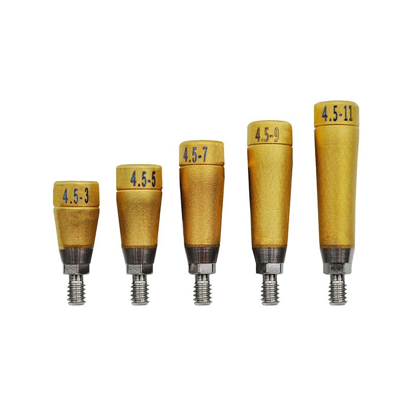 天琪 种植扫描体 BEGO