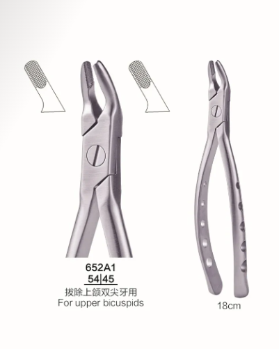 天天/天美 成人微创拔牙钳